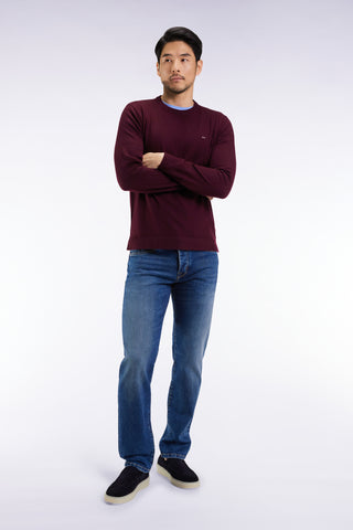 Blue stretch denim 5-pocket regular fit jeans