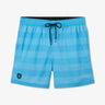 Light blue striped swim shorts