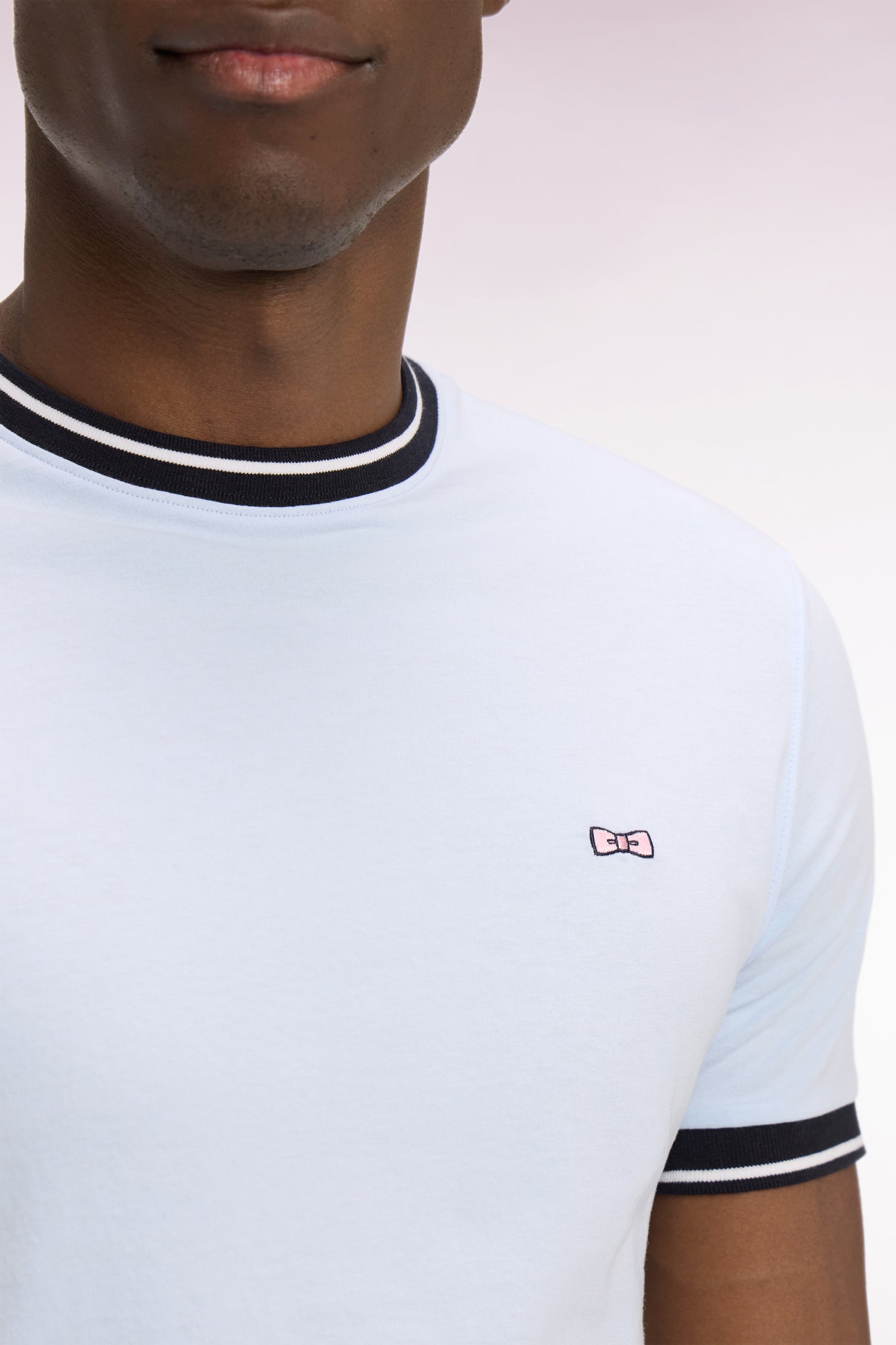 Short-sleeved T-shirt in sky blue embroidered cotton, regular fit