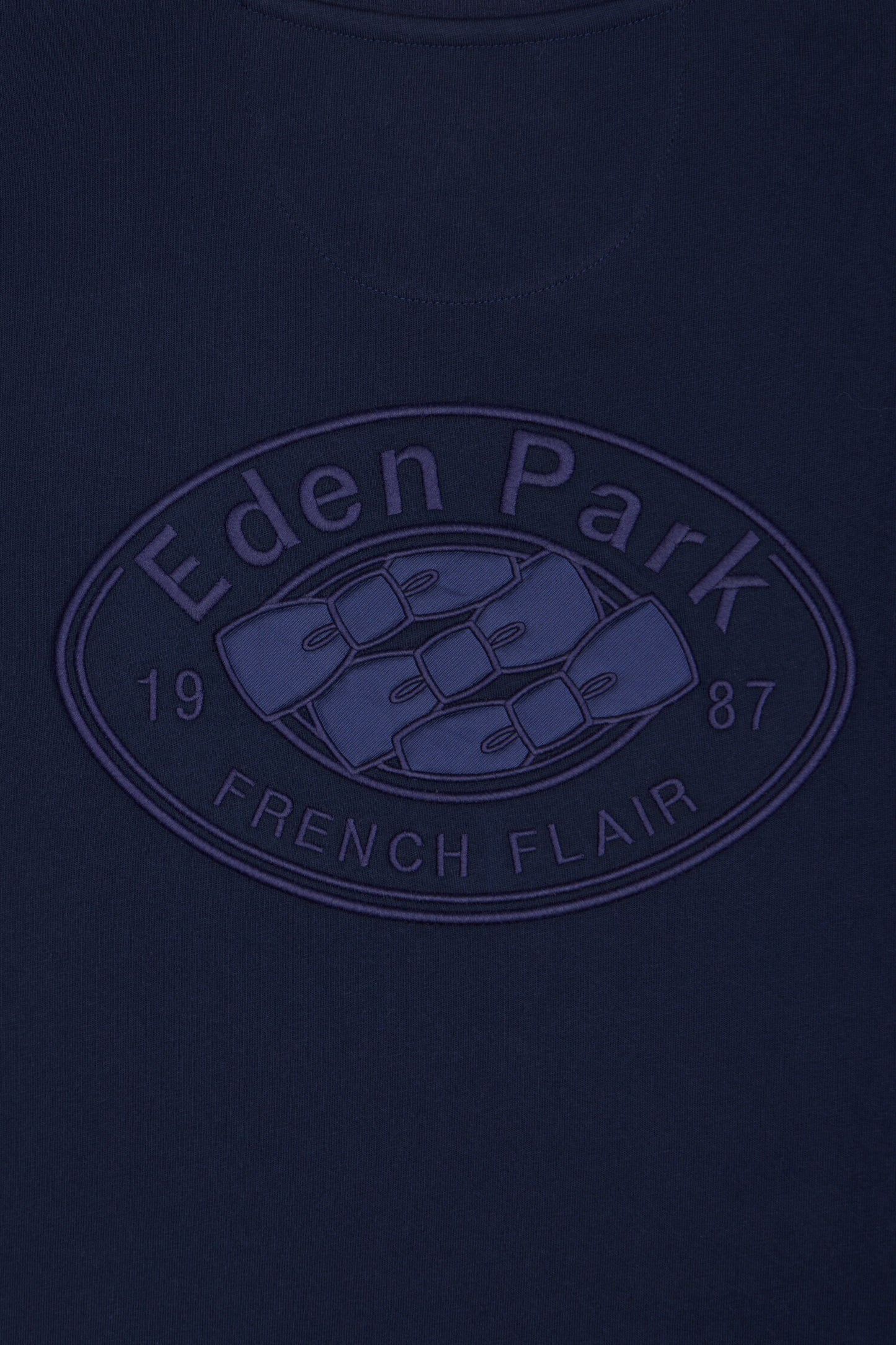 Short-sleeved T-shirt in regular-fit embroidered tricolor cotton